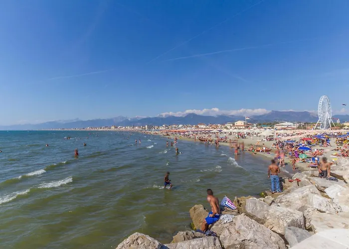 Apartment Cozy In With Wifi Viareggio