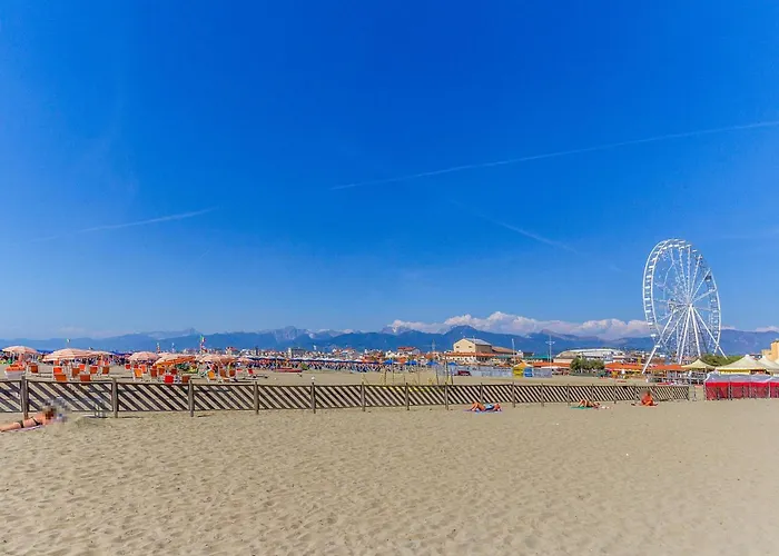 Apartment Cozy In With Wifi